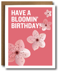 Birthday card with cherry blossom design and text 'HAVE A BLOOMIN' BIRTHDAY!' on a pink background.