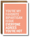 Card with text 'You're my favorite bipartisan issue everyone agrees you're hot' on a peach background.