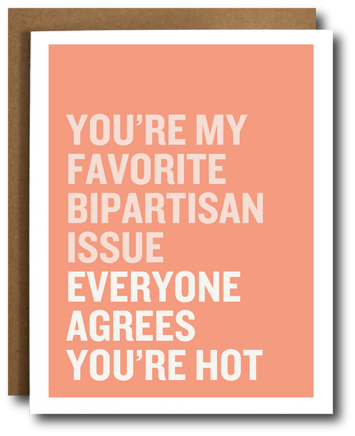 Card with text 'You're my favorite bipartisan issue everyone agrees you're hot' on a peach background.