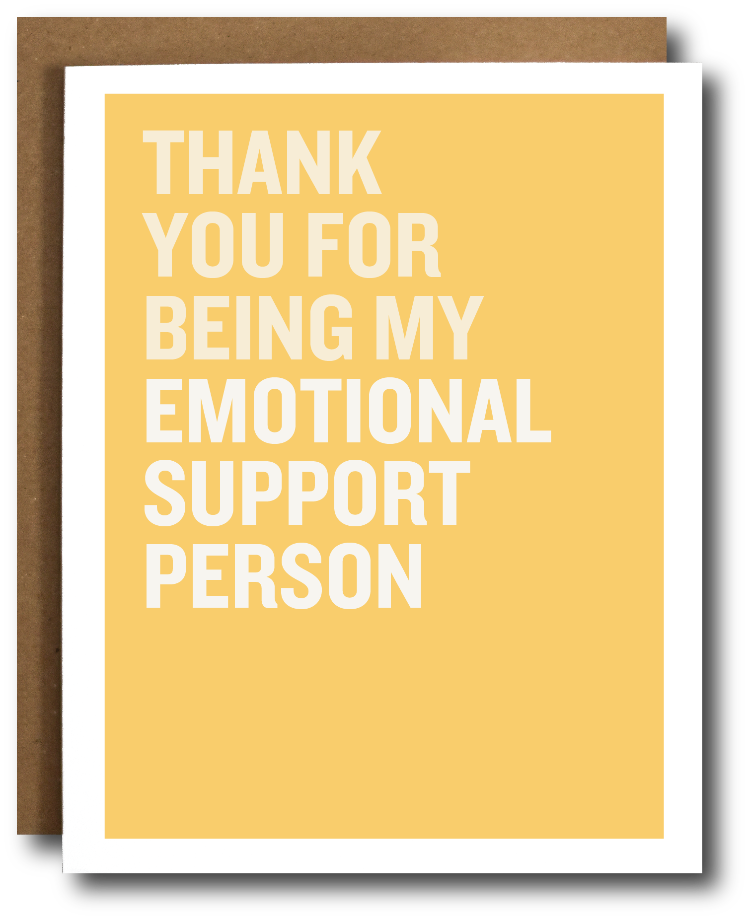 Emotional Support Person