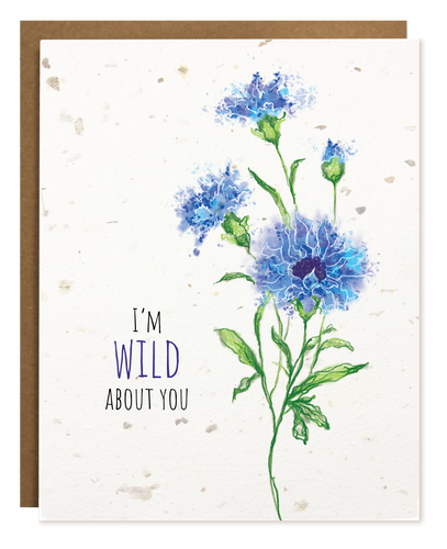 WILD ABOUT YOU PLANTABLE