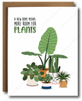 New Home Plants