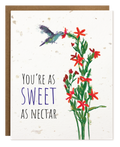 SWEET AS NECTAR PLANTABLE