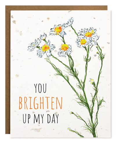 BRIGHTEN MY DAY PLANTABLE