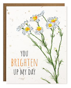 BRIGHTEN MY DAY PLANTABLE