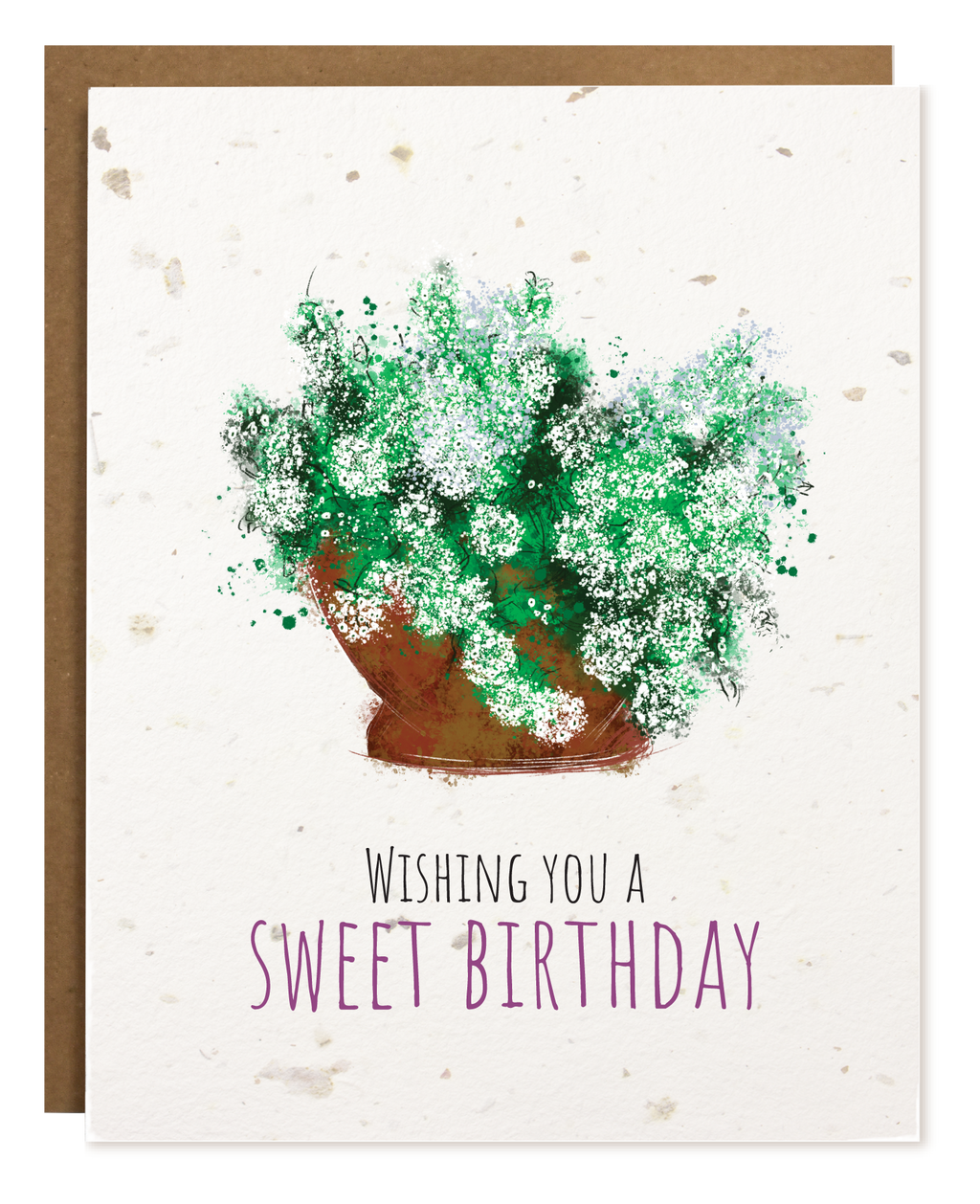 SWEET BIRTHDAY PLANTABLE