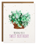 SWEET BIRTHDAY PLANTABLE