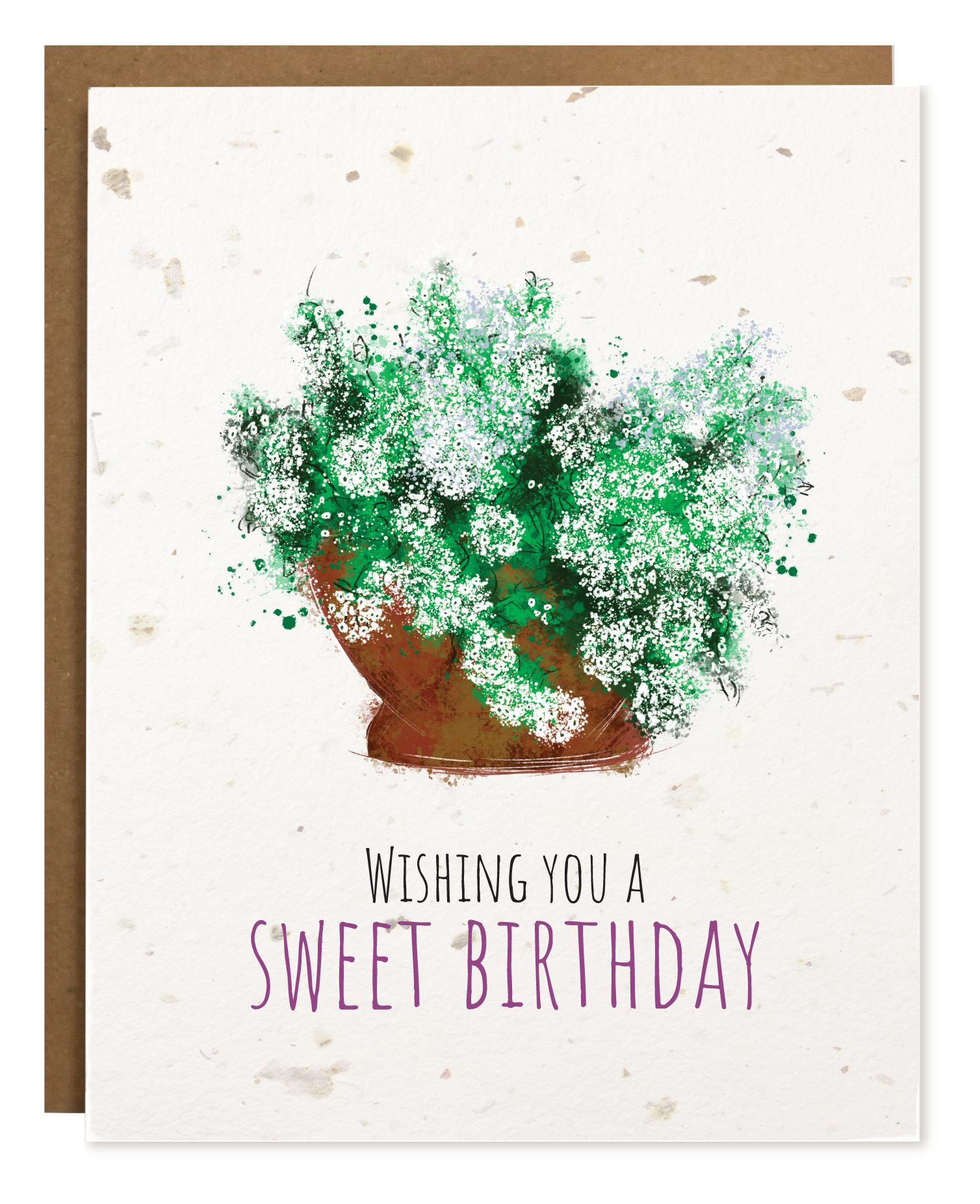 SWEET BIRTHDAY PLANTABLE