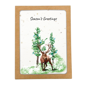 Boxed Set - SEASON'S GREETINGS DEER