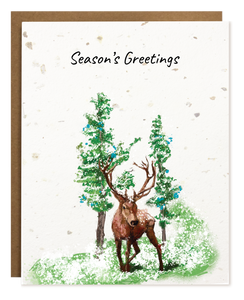 Boxed Set - SEASON'S GREETINGS DEER