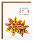 STAR ANISE HOLIDAY