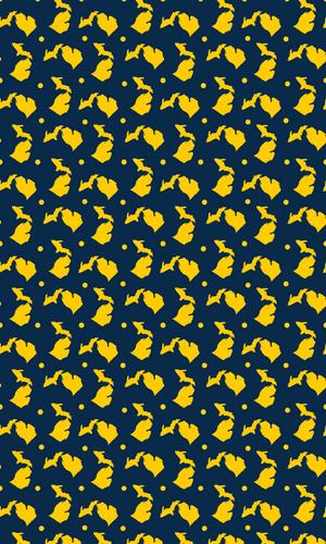 Maize & Blue Michigan Gift Wrap